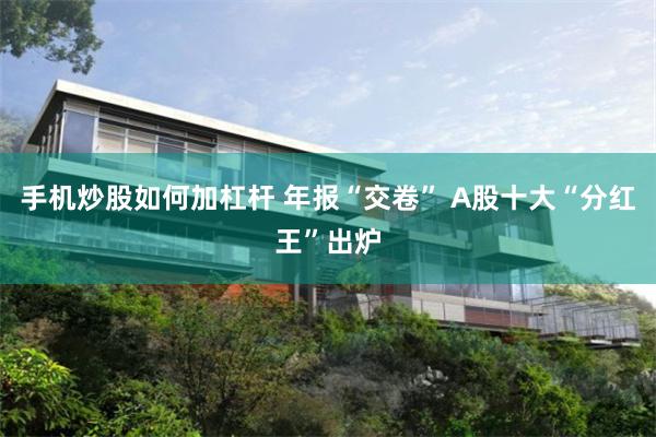 手机炒股如何加杠杆 年报“交卷” A股十大“分红王”出炉