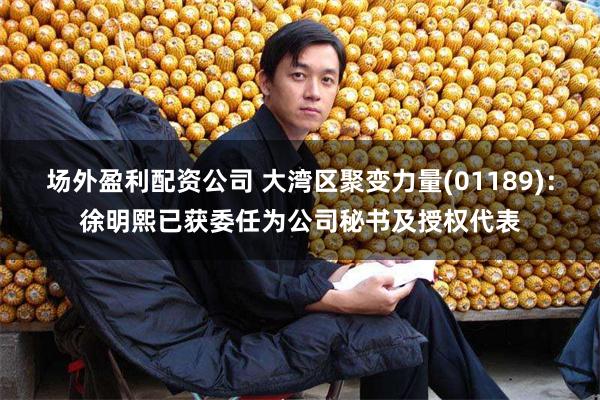 场外盈利配资公司 大湾区聚变力量(01189)：徐明熙已获委任为公司秘书及授权代表
