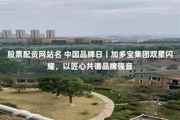 股票配资网站名 中国品牌日｜加多宝集团双星闪耀，以匠心共谱品牌强音