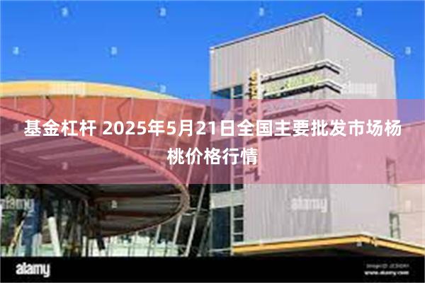 基金杠杆 2025年5月21日全国主要批发市场杨桃价格行情