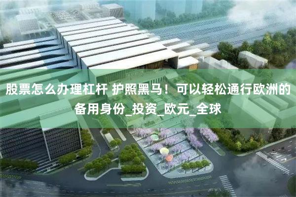 股票怎么办理杠杆 护照黑马！可以轻松通行欧洲的备用身份_投资_欧元_全球