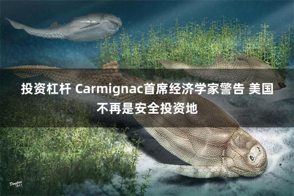 投资杠杆 Carmignac首席经济学家警告 美国不再是安全投资地