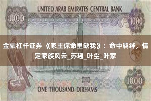 金融杠杆证券 《家主你命里缺我》：命中羁绊，情定家族风云_苏瑶_叶尘_叶家