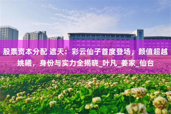 股票资本分配 遮天：彩云仙子首度登场，颜值超越姚曦，身份与实力全揭晓_叶凡_姜家_仙台