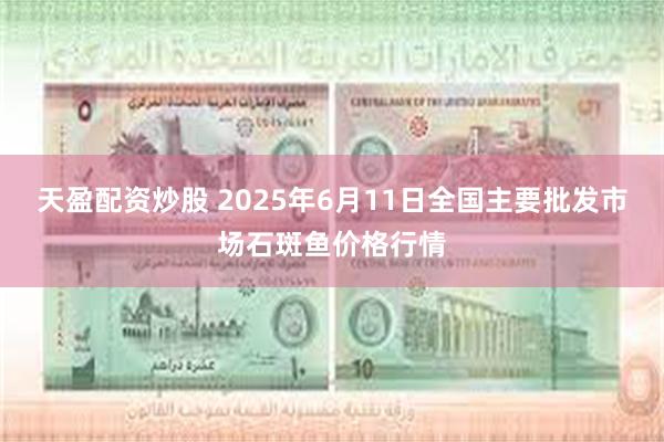 天盈配资炒股 2025年6月11日全国主要批发市场石斑鱼价格行情