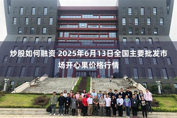 炒股如何融资 2025年6月13日全国主要批发市场开心果价格行情