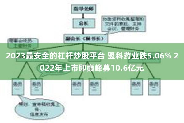 2023最安全的杠杆炒股平台 盟科药业跌5.06% 2022年上市即巅峰募10.6亿元