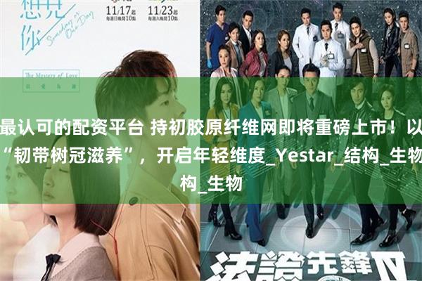 最认可的配资平台 持初胶原纤维网即将重磅上市！以“韧带树冠滋养”，开启年轻维度_Yestar_结构_生物