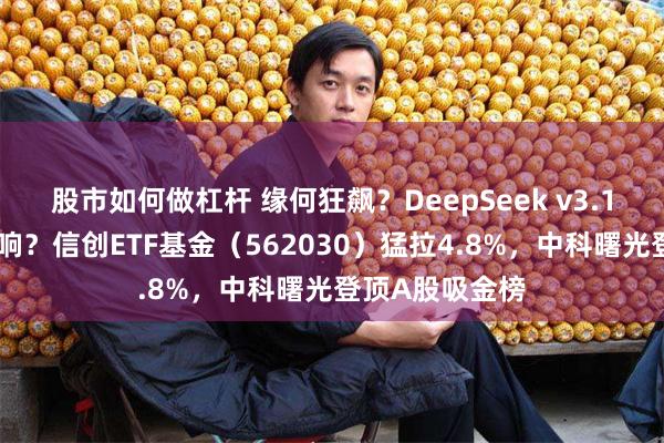 股市如何做杠杆 缘何狂飙？DeepSeek v3.1对信创有何影响？信创ETF基金（562030）猛拉4.8%，中科曙光登顶A股吸金榜